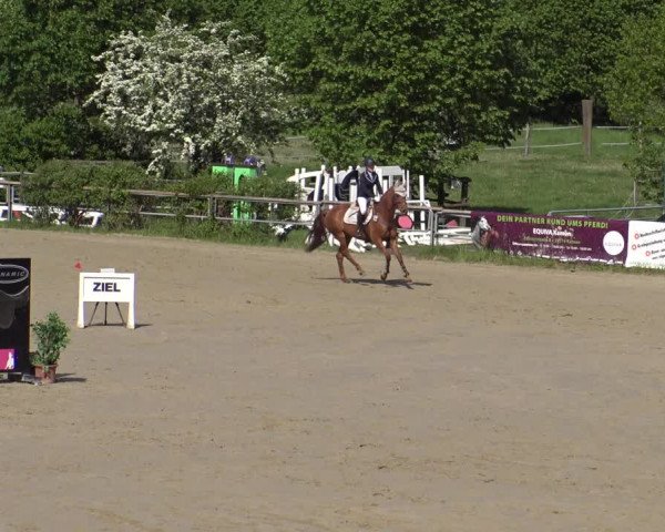 Reitturnier Kamen 2019