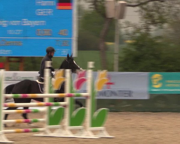 Reitturnier Langwedel - Hagen - Grinden 2019