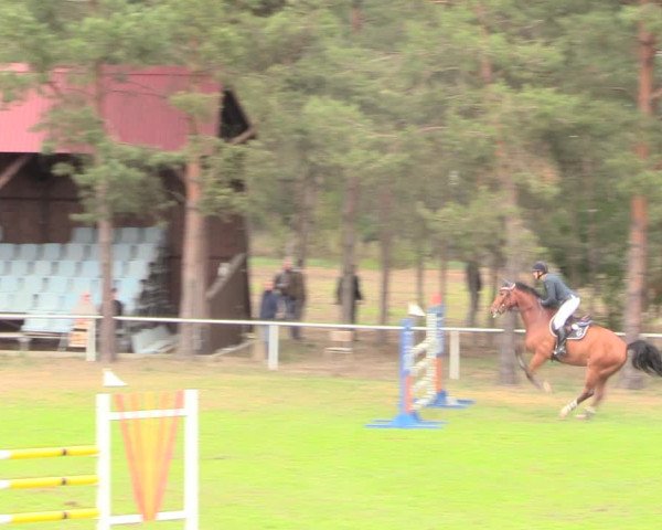 Reitturnier Altbarnim 2019