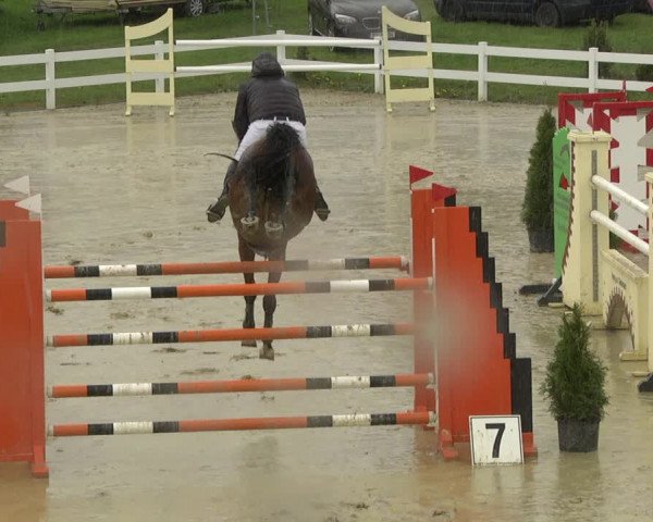 Reitturnier Leutkirch-Diepoldshofen 2019