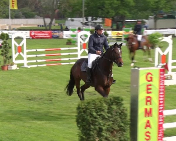 Reitturnier Greppin 2019