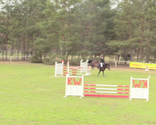 Reitturnier Altbarnim 2019