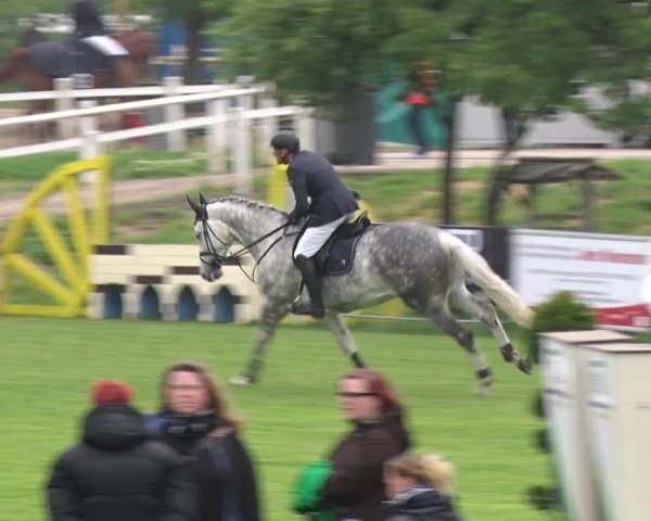Reitturnier Greppin 2019