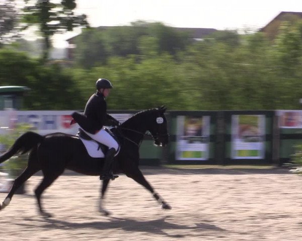 Reitturnier Langwedel - Hagen - Grinden 2019