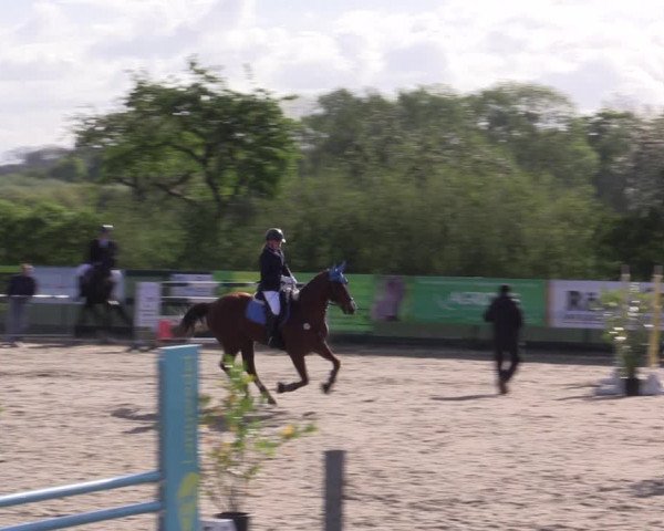 Reitturnier Langwedel - Hagen - Grinden 2019
