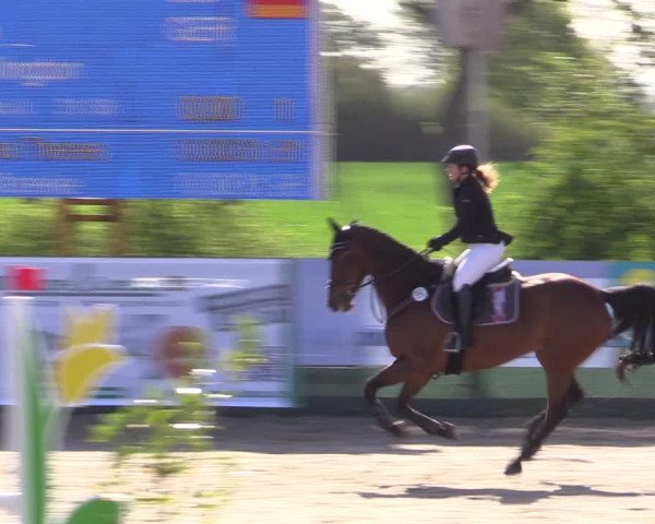 Reitturnier Langwedel - Hagen - Grinden 2019