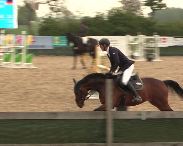 Reitturnier Langwedel - Hagen - Grinden 2019