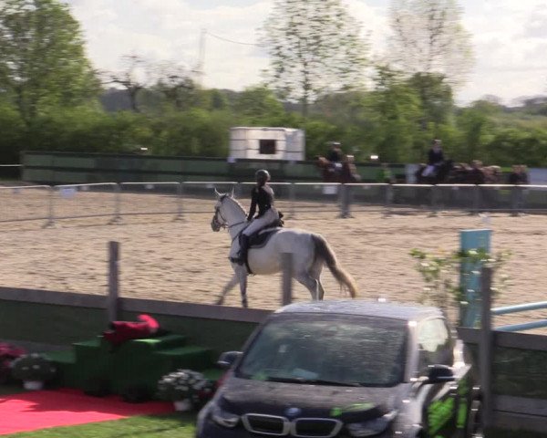 Reitturnier Langwedel - Hagen - Grinden 2019