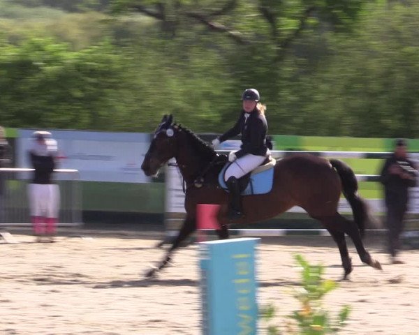 Reitturnier Langwedel - Hagen - Grinden 2019
