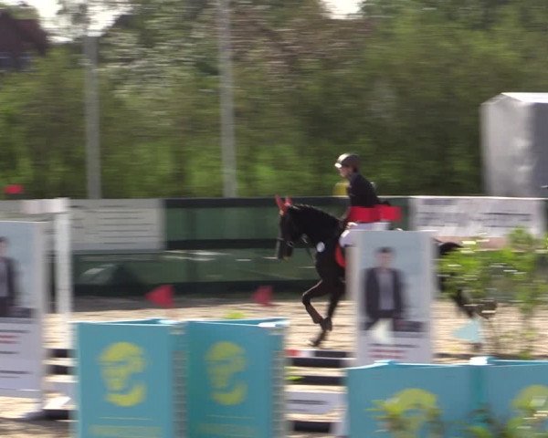 Reitturnier Langwedel - Hagen - Grinden 2019