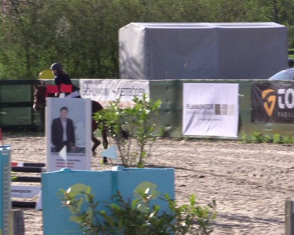 Reitturnier Langwedel - Hagen - Grinden 2019