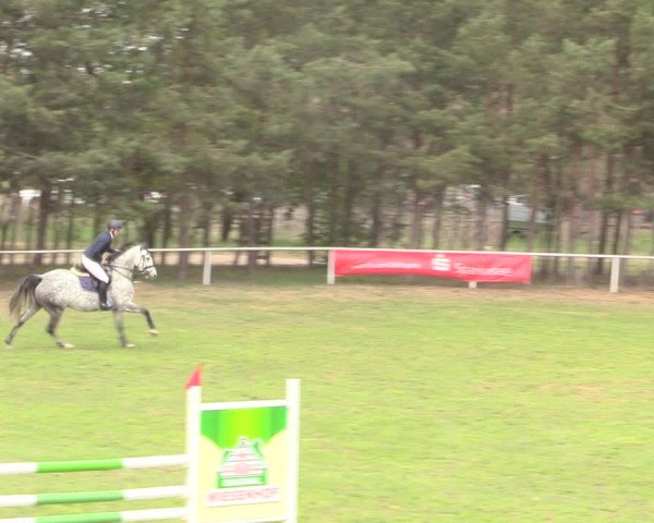 Reitturnier Altbarnim 2019