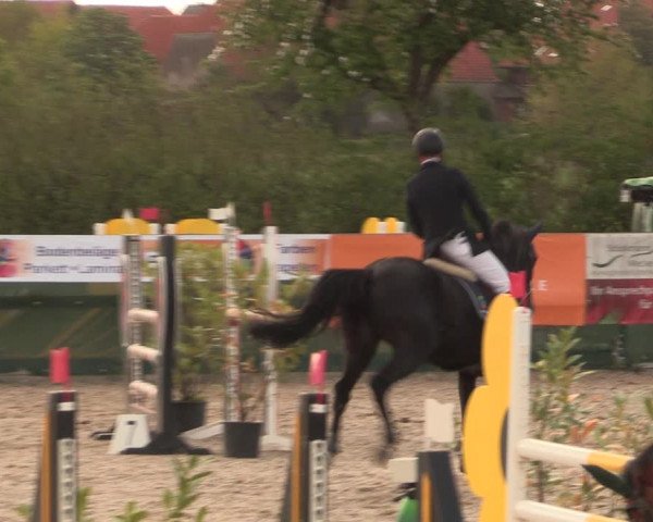 Reitturnier Langwedel - Hagen - Grinden 2019