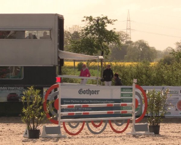 Reitturnier Langwedel - Hagen - Grinden 2019