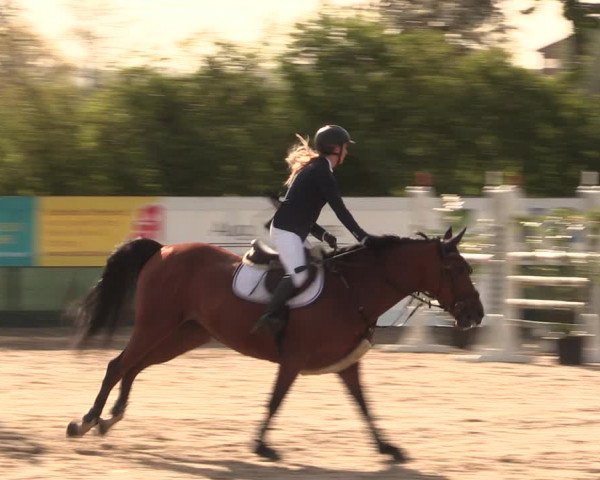Reitturnier Langwedel - Hagen - Grinden 2019