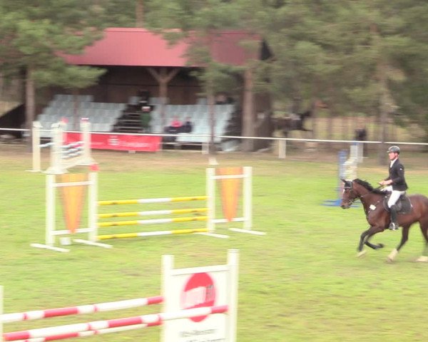 Reitturnier Altbarnim 2019