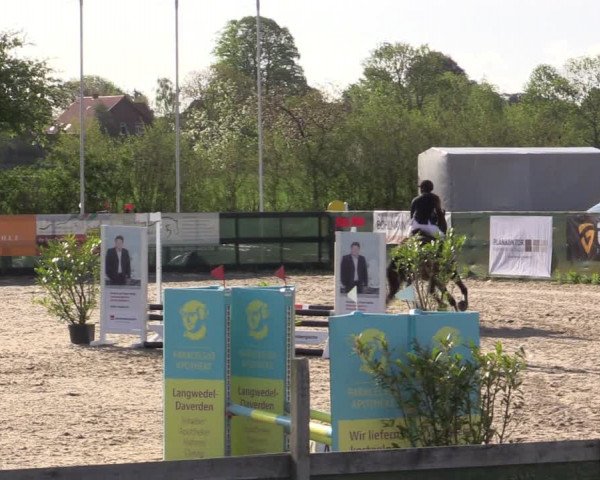 Reitturnier Langwedel - Hagen - Grinden 2019