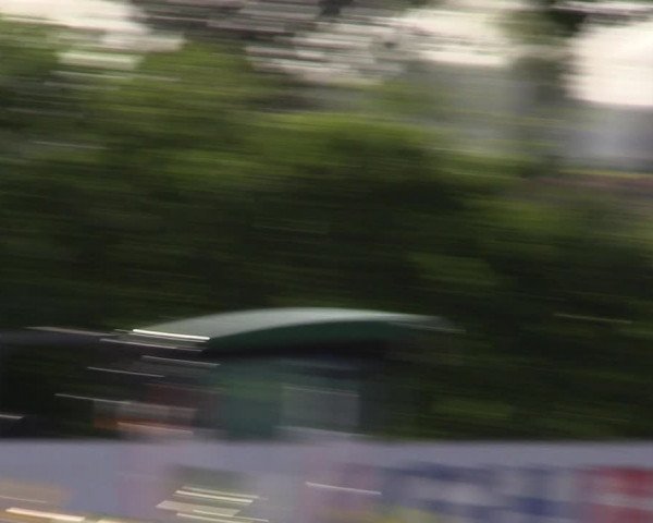 Reitturnier Langwedel - Hagen - Grinden 2019