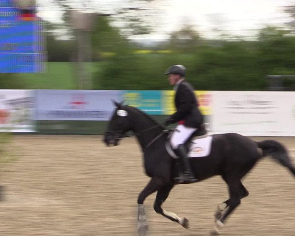 Reitturnier Langwedel - Hagen - Grinden 2019