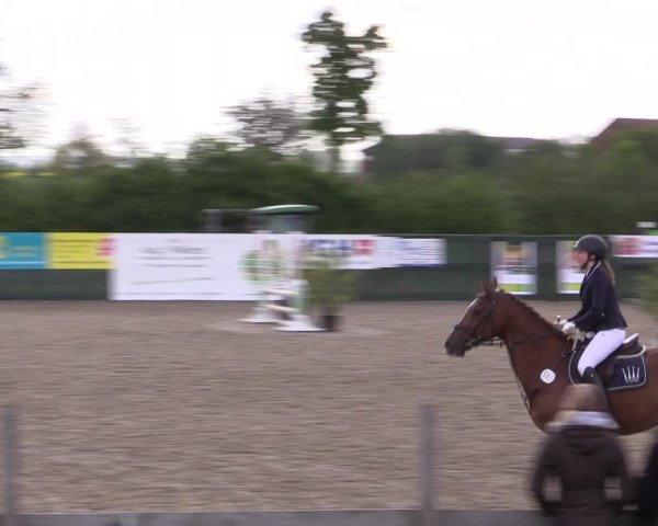 Reitturnier Langwedel - Hagen - Grinden 2019