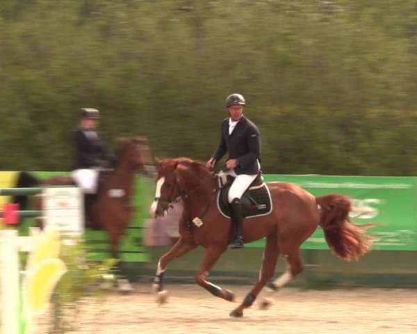 Reitturnier Langwedel - Hagen - Grinden 2019