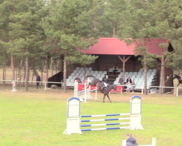 Reitturnier Altbarnim 2019