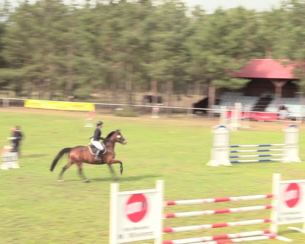 Reitturnier Altbarnim 2019