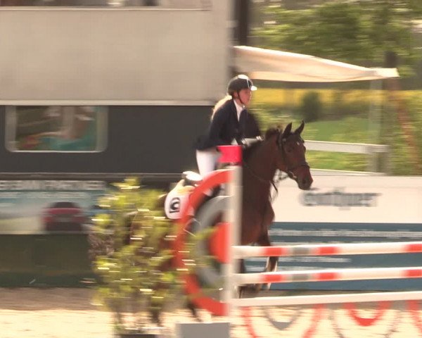 Reitturnier Langwedel - Hagen - Grinden 2019