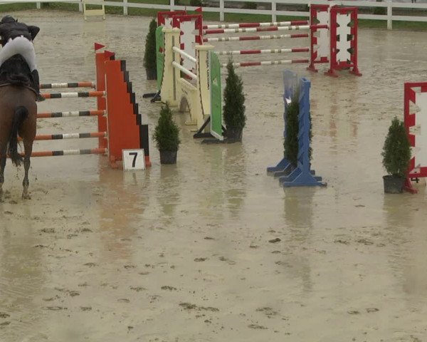Reitturnier Leutkirch-Diepoldshofen 2019