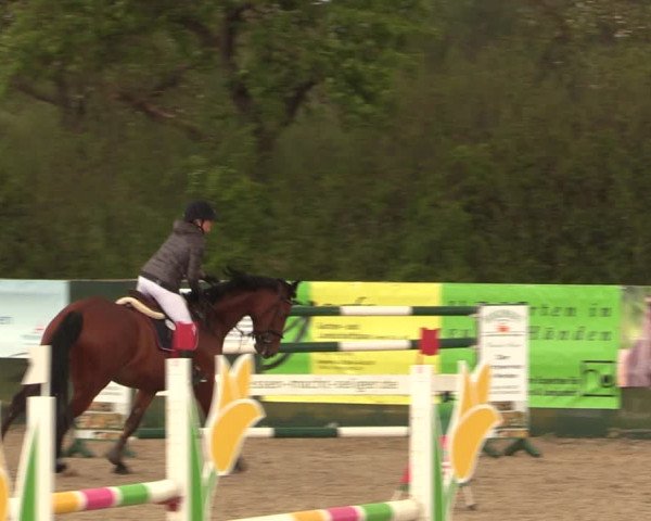 Reitturnier Langwedel - Hagen - Grinden 2019