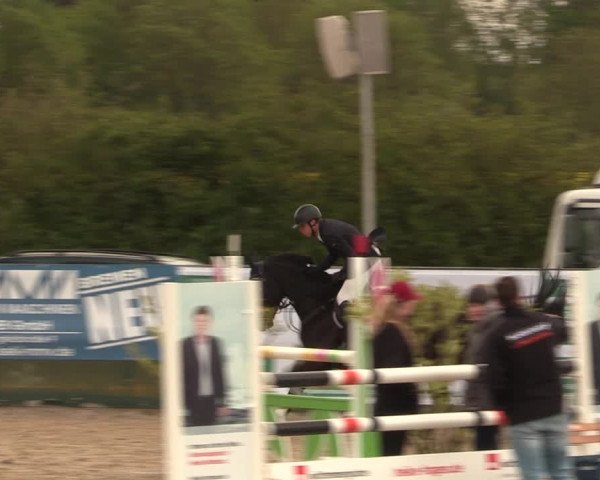 Reitturnier Langwedel - Hagen - Grinden 2019