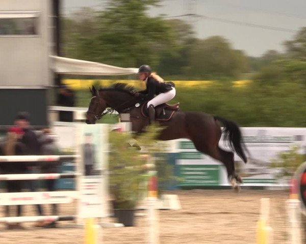 Reitturnier Langwedel - Hagen - Grinden 2019