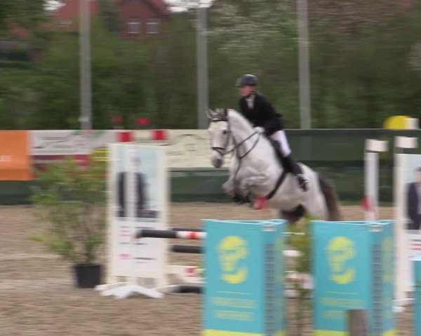 Reitturnier Langwedel - Hagen - Grinden 2019