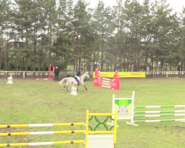 Reitturnier Altbarnim 2019