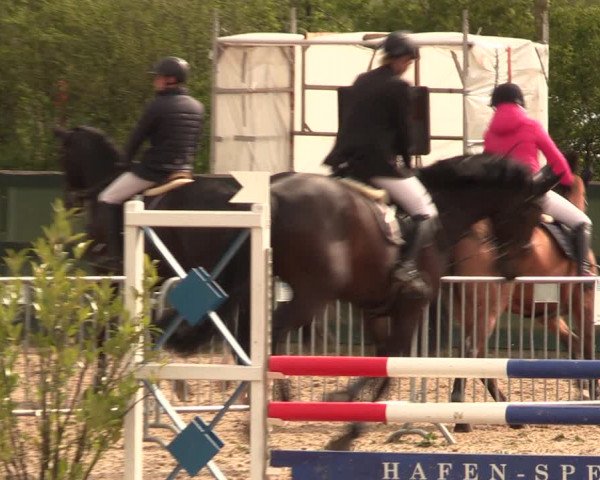 Reitturnier Langwedel - Hagen - Grinden 2019