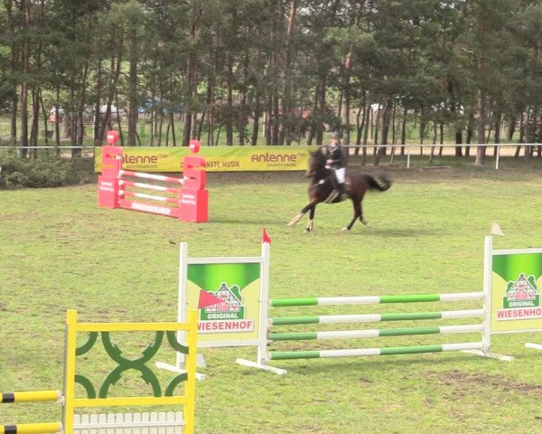Reitturnier Altbarnim 2019