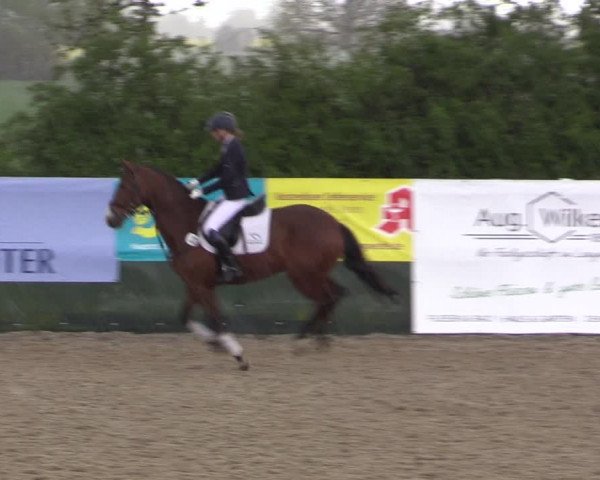 Reitturnier Langwedel - Hagen - Grinden 2019