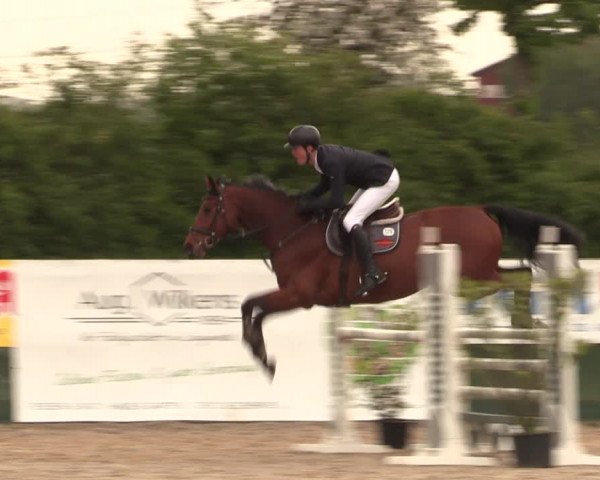 Reitturnier Langwedel - Hagen - Grinden 2019