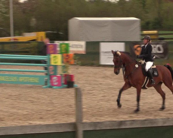 Reitturnier Langwedel - Hagen - Grinden 2019