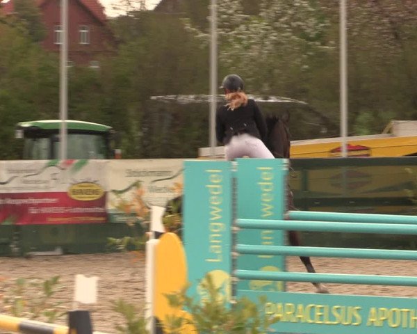 Reitturnier Langwedel - Hagen - Grinden 2019