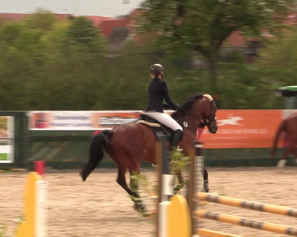 Reitturnier Langwedel - Hagen - Grinden 2019