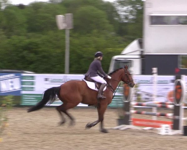 Reitturnier Langwedel - Hagen - Grinden 2019