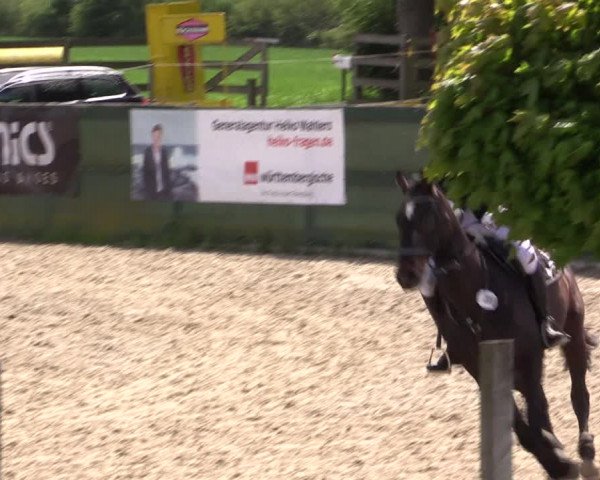 Reitturnier Langwedel - Hagen - Grinden 2019