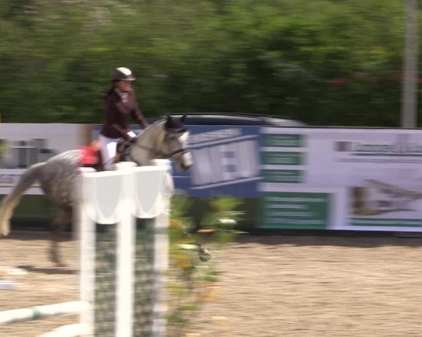 Reitturnier Langwedel - Hagen - Grinden 2019