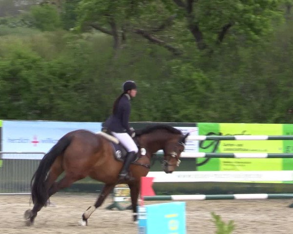 Reitturnier Langwedel - Hagen - Grinden 2019