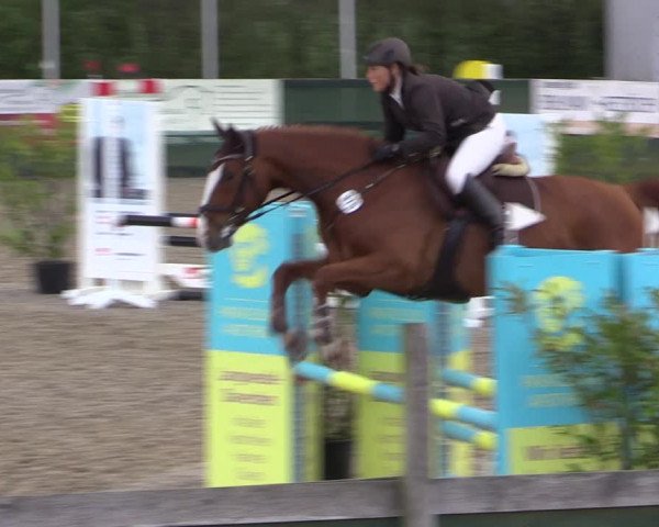 Reitturnier Langwedel - Hagen - Grinden 2019