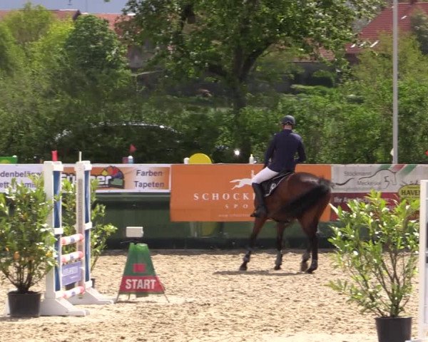 Reitturnier Langwedel - Hagen - Grinden 2019