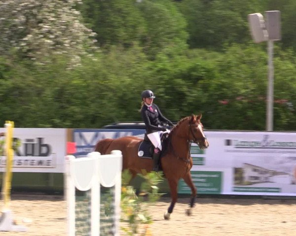 Reitturnier Langwedel - Hagen - Grinden 2019