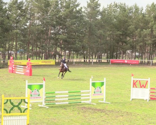 Reitturnier Altbarnim 2019