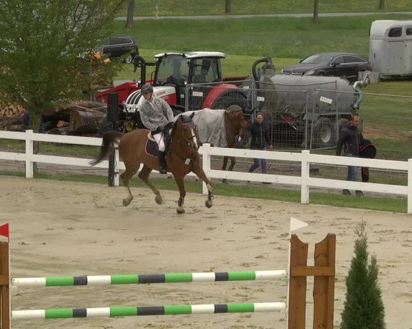 Reitturnier Leutkirch-Diepoldshofen 2019
